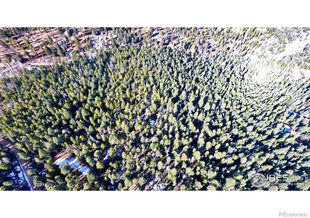 Photo 4 of Land for sale at 0 Snowy Trl, Conifer, CO 80433 | MLS# IR1051368 | Listing updated on 2026-09-17