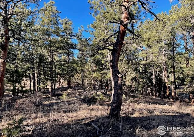 Photo 1 of Land for sale at 0 Pine Dr, Lyons, CO 80540 | MLS# IR1051456 | Listing updated on 2026-09-17