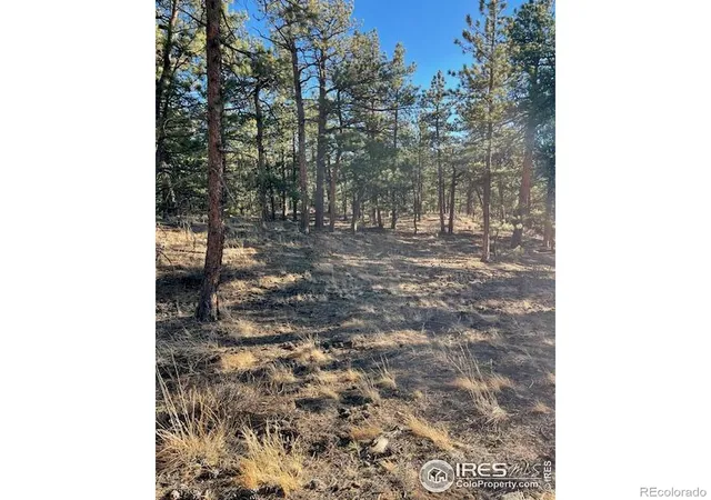 Photo 3 of Land for sale at 0 Pine Dr, Lyons, CO 80540 | MLS# IR1051456 | Listing updated on 2026-09-17