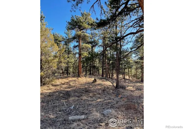 Photo 4 of Land for sale at 0 Pine Dr, Lyons, CO 80540 | MLS# IR1051456 | Listing updated on 2026-09-17