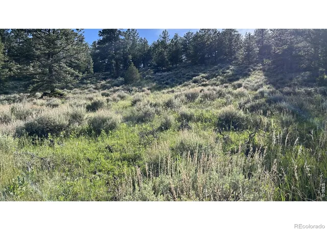 Photo 1 of Land for sale at 416 Comanche Cir, Red Feather Lakes, CO 80545 | MLS# IR1051635 | Listing updated on 2026-09-17