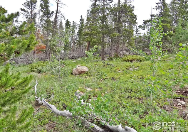 Photo 1 of Land for sale at 1683 Osage Trl, Red Feather Lakes, CO 80545 | MLS# IR1052189 | Listing updated on 2026-09-17