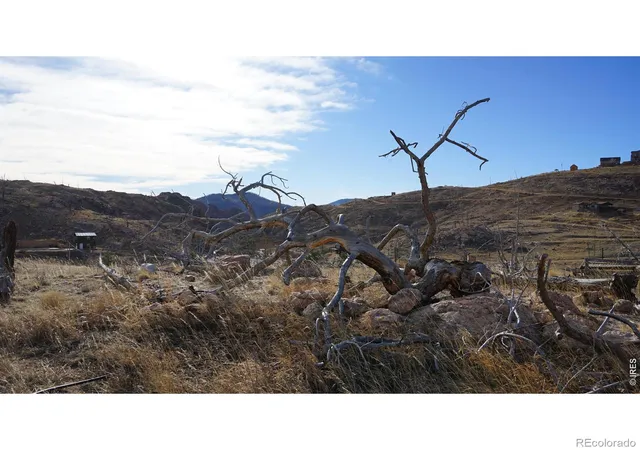 Photo 1 of Land for sale at 654 Horse Mountain Dr, Livermore, CO 80536 | MLS# IR1052550 | Listing updated on 2026-09-17