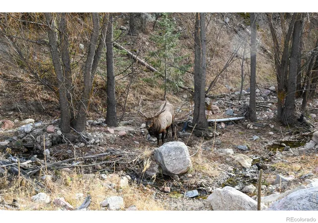 Photo 3 of Land for sale at 416 Black Crk Dr, Glen Haven, CO 80532 | MLS# IR1054837 | Listing updated on 2026-09-17