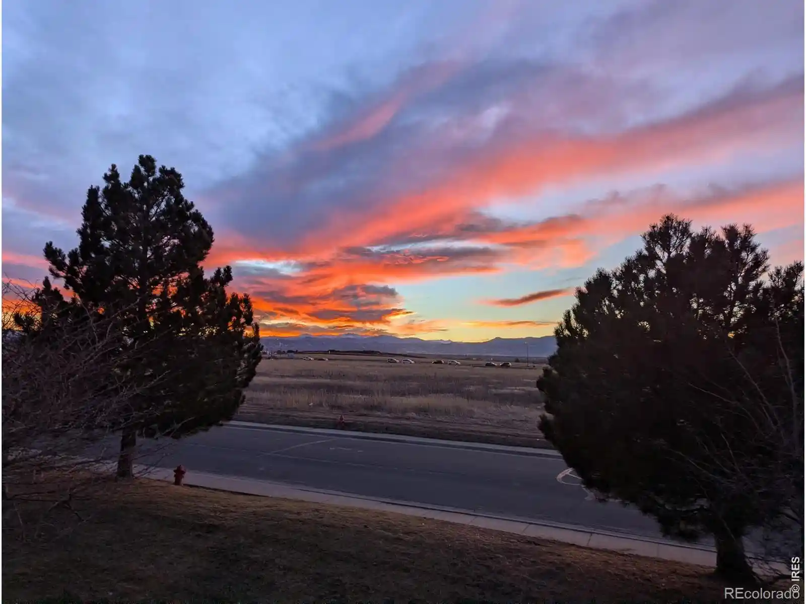Listing Photo 1 - Condo for sale in 8690 Decatur St located at 8690 Decatur St, Westminster, CO 80031 - Unit #205
