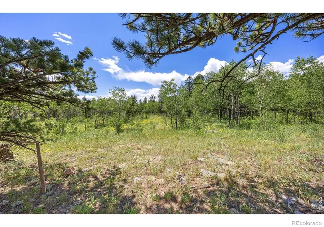 Photo 2 of Land for sale at 1568 County Rd 103, Nederland, CO 80466 | MLS# IR1055695 | Listing updated on 2026-09-17