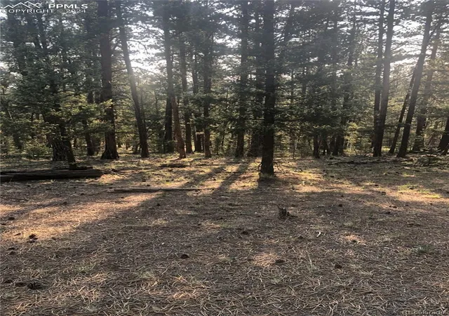 Photo 1 of Land for sale at 469 Echo Lake Dr, Lake George, CO 80827 | MLS# 1553126 | Listing updated on 2026-09-17