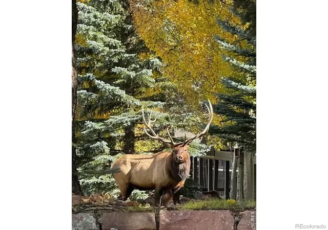Photo 33 of Townhouse for sale at 1449 Matthew Cir, Estes Park, CO 80517 | MLS# IR1057421 | Listing updated on 2026-10-09