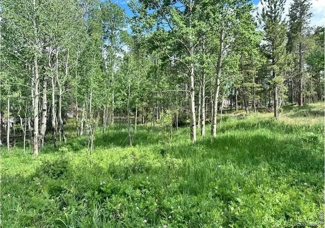 Land for sale at 293 Aspen Cir, Black Hawk, CO 80422 | MLS# IR1057633