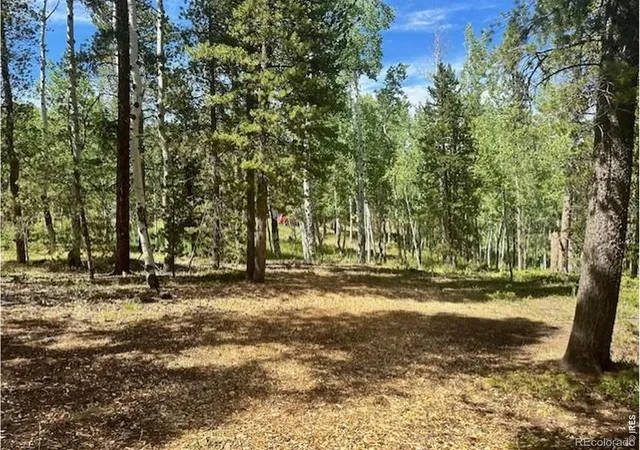 Photo 2 of Land for sale at 293 Aspen Cir, Black Hawk, CO 80422 | MLS# IR1057633 | Listing updated on 2026-09-17