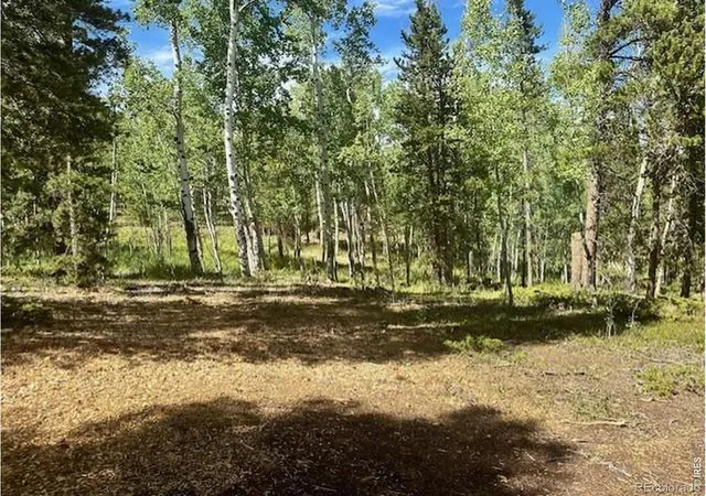 Photo 4 of Land for sale at 293 Aspen Cir, Black Hawk, CO 80422 | MLS# IR1057633 | Listing updated on 2026-09-17