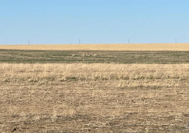 Photo 1 of Land for sale at 100 4 Road, Arlington, CO 81021 | MLS# IR1058689 | Listing updated on 2026-09-17