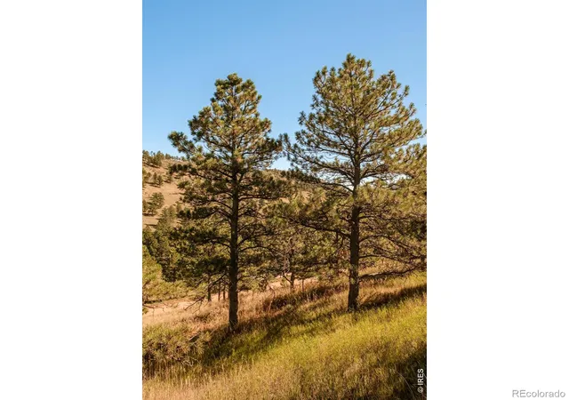 Photo 2 of Land for sale at 6365 Red Hl Rd, Boulder, CO 80302 | MLS# IR1060757 | Listing updated on 2026-09-17
