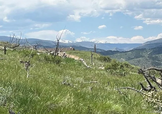 Land for sale at 598 Mount Mcconnell Dr, Livermore, CO 80536 | MLS# IR1060767