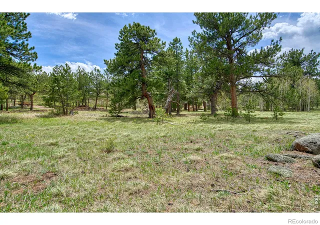 Photo 3 of Land for sale at 73 Sparn Way, Ward, CO 80481 | MLS# IR1062571 | Listing updated on 2026-09-17