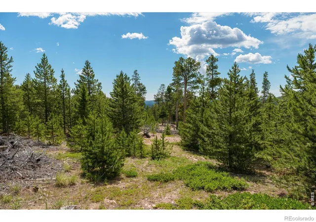 Photo 1 of Land for sale at 410 Pearl Crk Rd, Red Feather Lakes, CO 80545 | MLS# IR1062807 | Listing updated on 2026-09-28