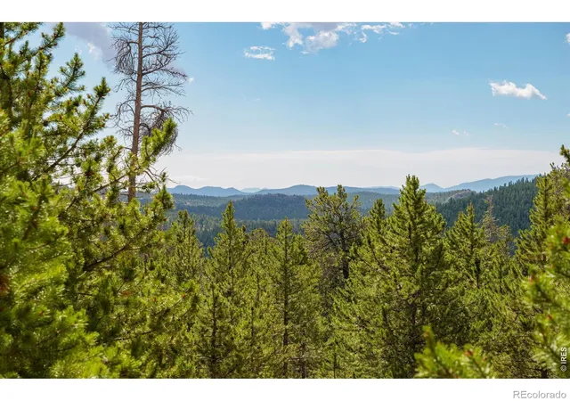 Photo 4 of Land for sale at 410 Pearl Crk Rd, Red Feather Lakes, CO 80545 | MLS# IR1062807 | Listing updated on 2026-09-28