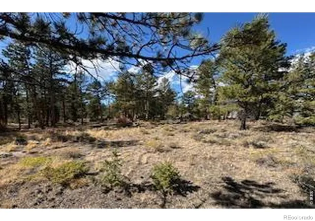 Photo 2 of Land for sale at 2921 Fox Acres Dr E, Red Feather Lakes, CO 80545 | MLS# IR1063029 | Listing updated on 2026-09-17
