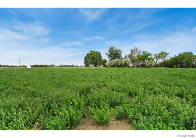 Photo 3 of Land for sale at 1534 Hauck Meadows Dr, Frederick, CO 80504 | MLS# IR1063077 | Listing updated on 2026-09-17