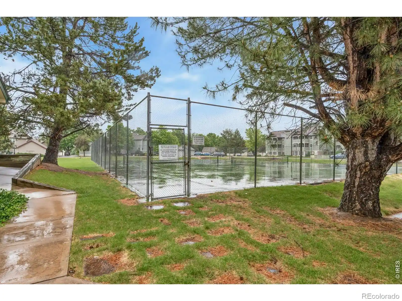 Listing Photo 37 - Condo for sale in 2828 Silverplume Dr located at 2828 Silverplume Dr, Fort Collins, CO 80526 - Unit #C1