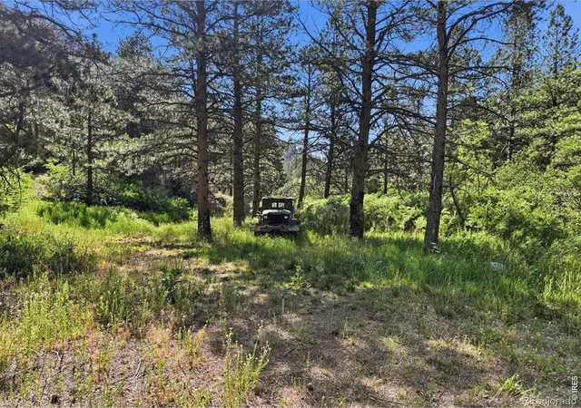 Photo 3 of Land for sale at Spiritwood Ln, Bellvue, CO 80512 | MLS# IR1063243 | Listing updated on 2026-09-17