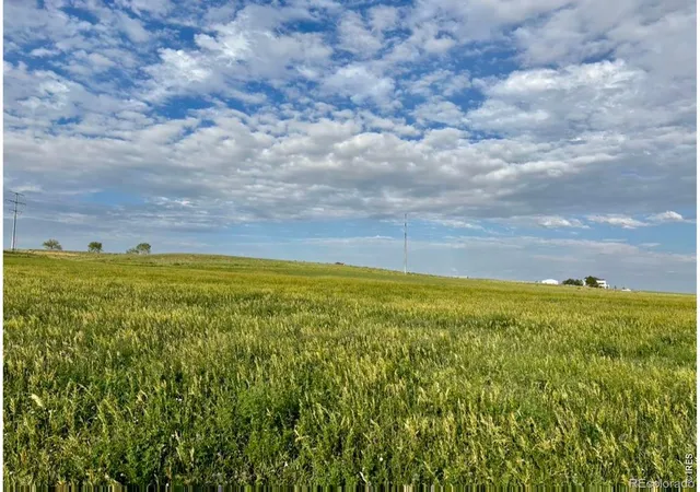 Photo 3 of Single family home for sale at 3259 W County Rd 80, Wellington, CO 80549 | MLS# IR1065625 | Listing updated on 2026-09-24