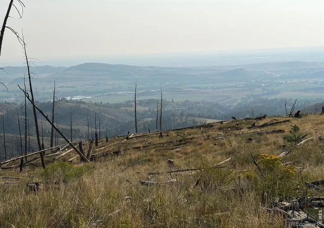 Photo 4 of Land for sale at 0 Pine Acres Rd, Bellvue, CO 80512 | MLS# IR1065958 | Listing updated on 2026-09-17