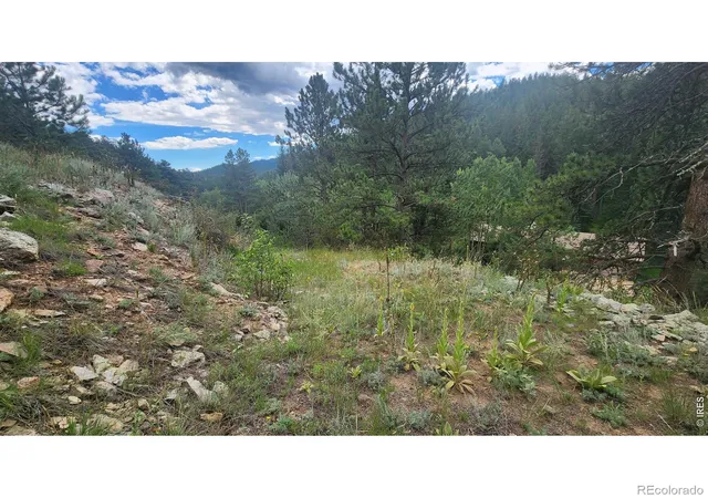 Photo 4 of Land for sale at 0 Streamside Dr, Glen Haven, CO 80532 | MLS# IR1066603 | Listing updated on 2026-09-17