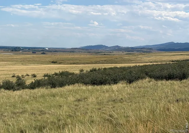 Land for sale at 60 Niobrara Ridge Rd, Laporte, CO 80535 | MLS# IR1066657