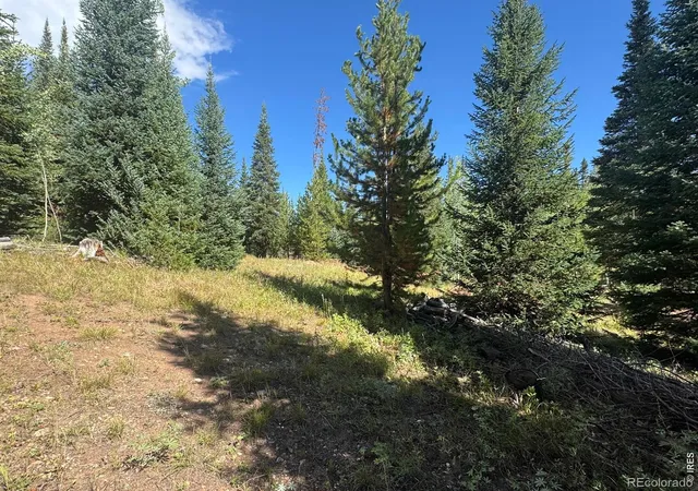 Photo 4 of Single family home for sale at 67 Alpine Ln, Walden, CO 80430 | MLS# IR1066762 | Listing updated on 2026-09-17