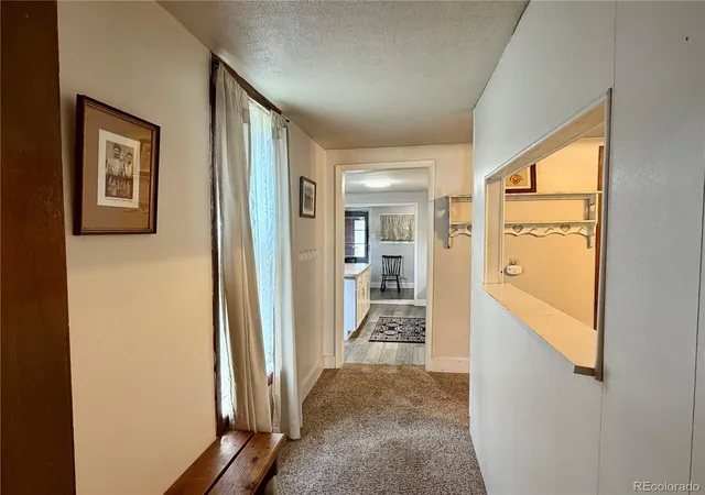 Photo 4 of Single family home for sale at 119 E 14th Street, Leadville, CO 80461 | MLS# 5544173 | Listing updated on 2026-09-09