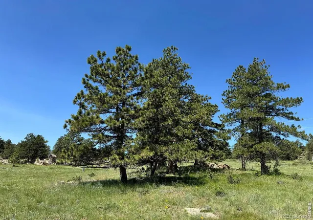 Photo 2 of Land for sale at 62 White Slide Mountain Ct, Livermore, CO 80536 | MLS# IR1067681 | Listing updated on 2026-09-17