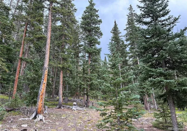 Photo 4 of Land for sale at Lot 6621` Clinton Rd, San Luis, CO 81152 | MLS# 7705970 | Listing updated on 2026-09-09