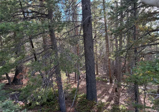 Photo 3 of Land for sale at Lot 3189 Zipf, Fort Garland, CO 81133 | MLS# 9256986 | Listing updated on 2026-09-18