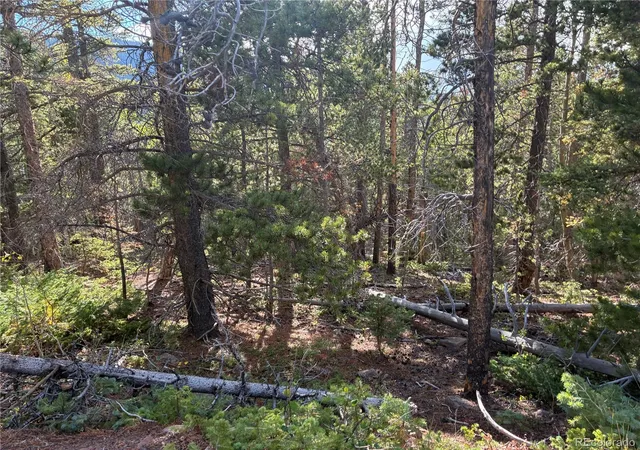 Photo 4 of Land for sale at Lot 3189 Zipf, Fort Garland, CO 81133 | MLS# 9256986 | Listing updated on 2026-09-18