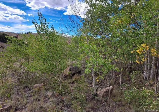 Photo 2 of Land for sale at 736 Stagestop Rd, Jefferson, CO 80456 | MLS# 4932267 | Listing updated on 2026-09-16