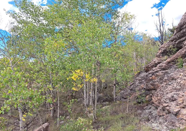 Photo 4 of Land for sale at 736 Stagestop Rd, Jefferson, CO 80456 | MLS# 4932267 | Listing updated on 2026-09-16