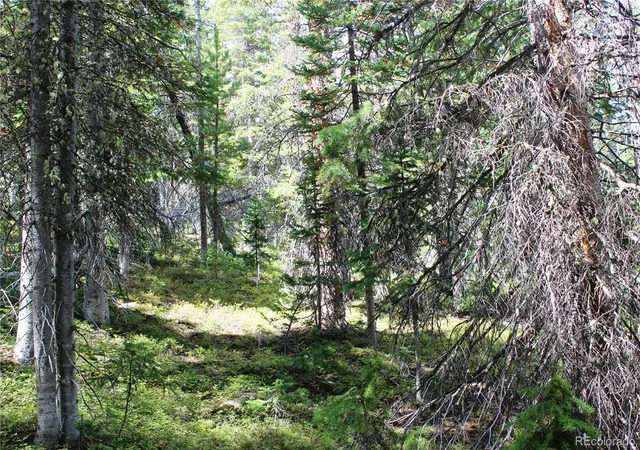 Land for sale at 17577 Jackson, Black Hawk, CO 80422 | MLS# 3939171