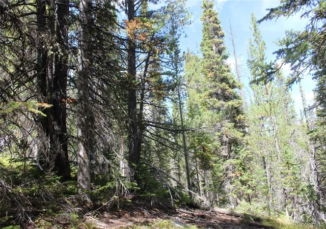 Photo 2 of Land for sale at 17577 Jackson, Black Hawk, CO 80422 | MLS# 3939171 | Listing updated on 2026-09-17