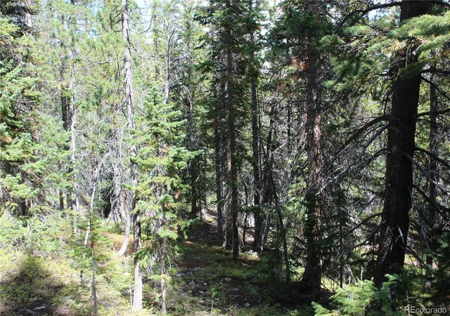 Photo 3 of Land for sale at 17577 Jackson, Black Hawk, CO 80422 | MLS# 3939171 | Listing updated on 2026-09-17