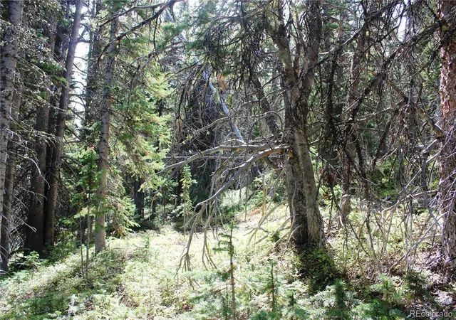Photo 4 of Land for sale at 17577 Jackson, Black Hawk, CO 80422 | MLS# 3939171 | Listing updated on 2026-09-17