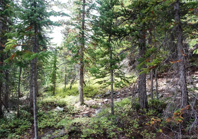 Photo 3 of Land for sale at 17582 Santa Clara, Rollinsville, CO 80422 | MLS# 9959304 | Listing updated on 2026-09-17