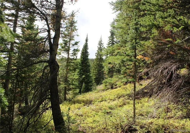 Photo 4 of Land for sale at 17582 Santa Clara, Rollinsville, CO 80422 | MLS# 9959304 | Listing updated on 2026-09-17