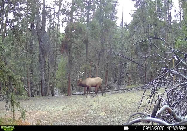 Photo 1 of Land for sale at Ten High Ln, Alma, CO 80420 | MLS# 8918549 | Listing updated on 2026-09-18