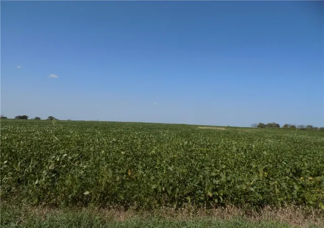 Photo 4 of Land for sale at SW Kentucky & 600 Rd, Colony, KS 66015 | MLS# 2625935 | Listing updated on 2026-09-18