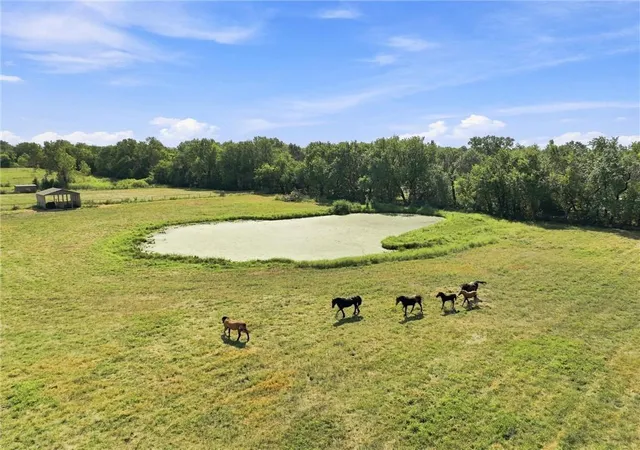 Photo 3 of Single family home for sale at 27611 S Belle Plain Rd, Harrisonville, MO 64701 | MLS# 2640036 | Listing updated on 2026-09-17