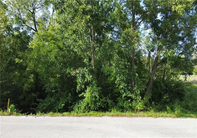 Photo 3 of Land for sale at 00000 Hemlock St, Mound City, KS 66056 | MLS# 2642613 | Listing updated on 2026-09-17