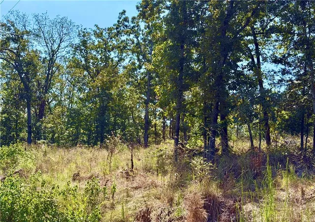 Photo 3 of Land for sale at Off Saint Saveur Dr, Edwards, MO 65326 | MLS# 2642640 | Listing updated on 2026-09-17
