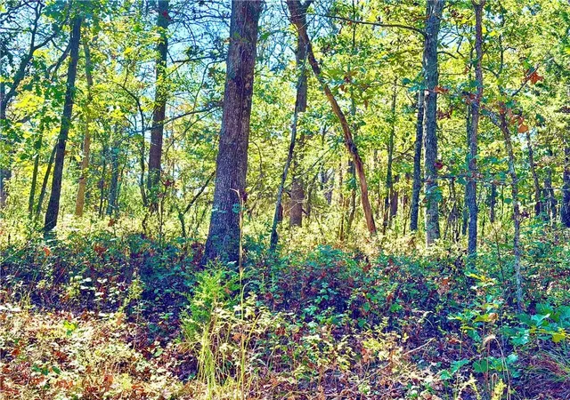 Photo 4 of Land for sale at Off Saint Saveur Dr, Edwards, MO 65326 | MLS# 2642640 | Listing updated on 2026-09-17