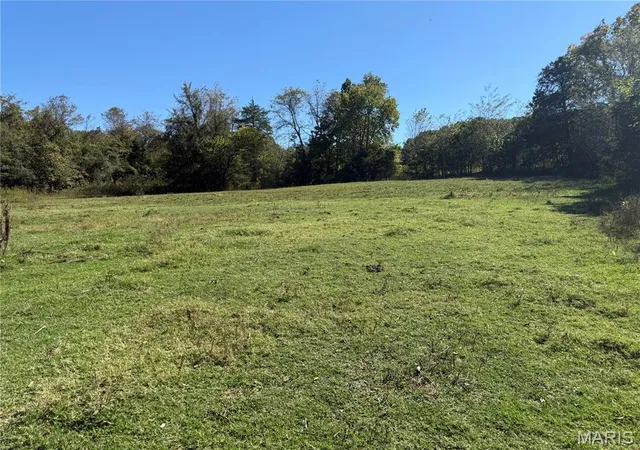 Photo 3 of Land for sale at 0 Cr 157, Des Arc, MO 63636 | MLS# MIS25069294 | Listing updated on 2026-09-17